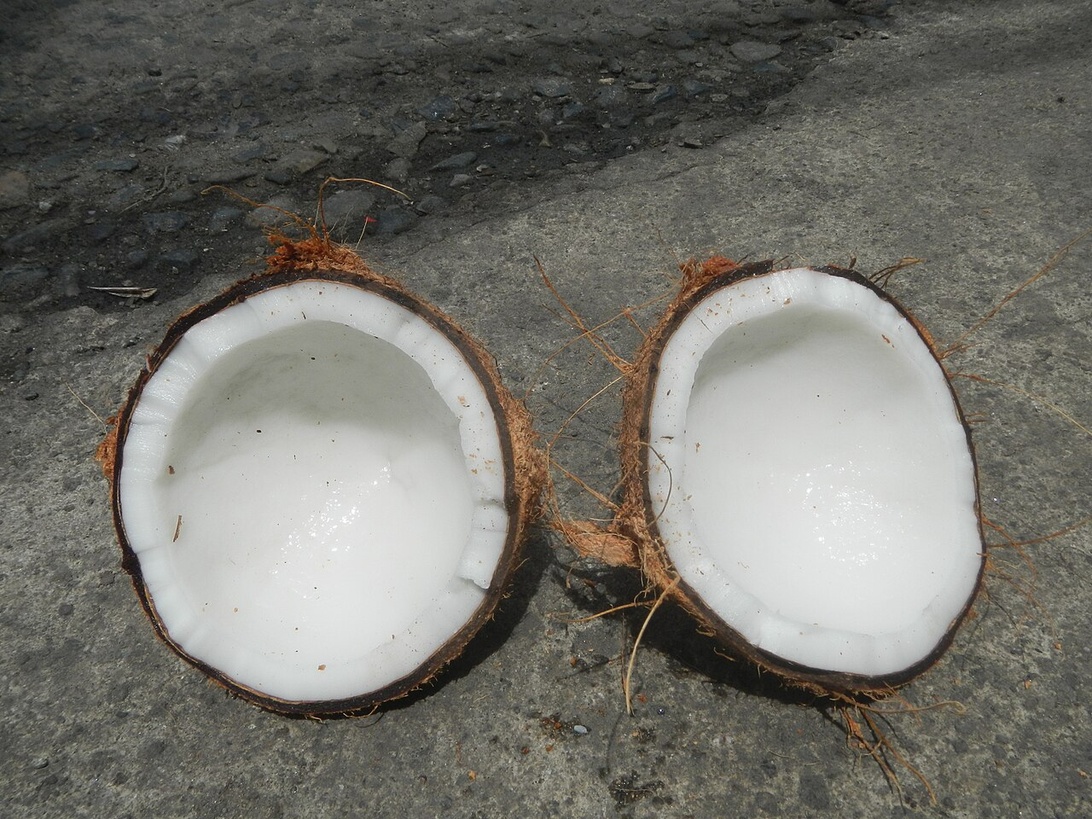En frisk kokosnød delt i to, som viser det hvide kød, der symboliserer naturlige ingredienser i holistisk sundhed.